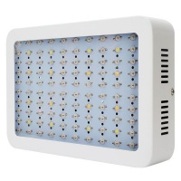Best LED Grow Light 1000W Full Spectrum for Indoor Hydroponic Plant Photo