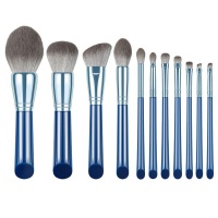 Everglitz Glamorous Professional 10 Piece Cosmetic Brush Set -Metallic Blue Photo