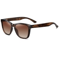 G&Q Retro Polarized Sunglasses - Brown Print / Brown Photo