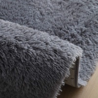 Light fluffy shaggy Rug/Carpet Photo