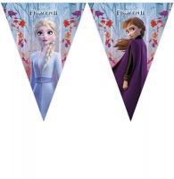 Frozen 2 Sparkle Triangle Flag Banner Photo