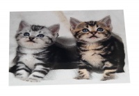 Diamond Dot Art painting - 30x30 - Two Kittens Photo