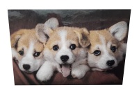 Diamond Dot Art painting - 30x30 - Corgi Puppies Photo