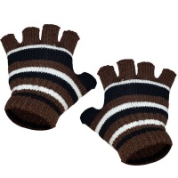 Fingerless Gloves - Brown Stripe Photo