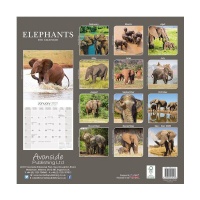 CHEF HOME Elephants 2021 Wall Calendar - African Wildlife Photo