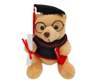 Graduation Teddy Bear - White Photo
