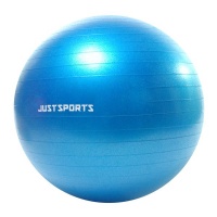Justsports Anti-burst Exercise Ball 55cm - Blue Photo
