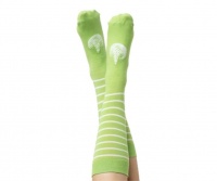 Latte Socks Matcha Photo