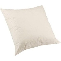 Relax Collection Scatter Cushion MicroFibre inner by Photo