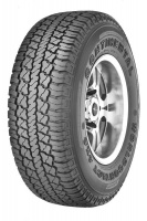 Continental 205/80R16 110/108S C WorldContact4x4-Tyre Photo