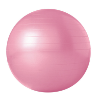 Trojan Gym Body Ball Anti-Burst Fitness Ball 55cm - Pink Photo
