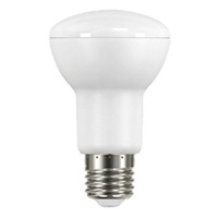 Zebbies Lighting - Globe - LED R63 9.5W CW Photo