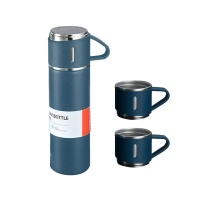 Stainless Steel Vacuum Bottle Set - 500ml - Blue Photo