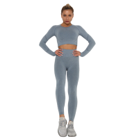 InstantFit Cloudy-Grey Two Piece Long Sleeve Compression Set Photo