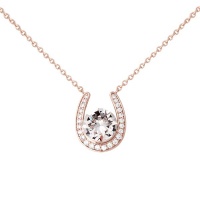 Stella Luna Horseshoe necklace- Swarovski Clear Crystal Rosegold Photo