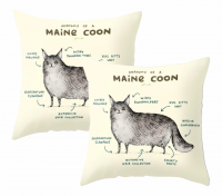 PepperSt Scatter Cushion Cover Set | The anatomy of a Maine Coon Photo