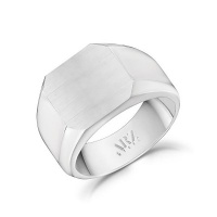 A.R.Z Steel Matte Signet Ring Photo