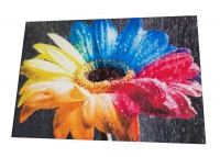 Diamond Dot Art painting - 30x40 - Colourful Flowers Photo