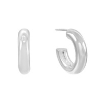 Thick Stainless Steel Hoop Earrings Photo