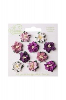 Bloom Mini Gardenia - Purple Photo