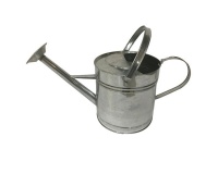 Galvanized Steel Watering Can 9L Photo