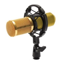 Pro Stage/Music/Broadcast Condenser Microphone & Studio Equipment Set GOLD Photo