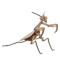Wow We - 3D Wooden Model Insects Praying Mantis Photo