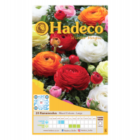 Hadeco Ranunculus - Mixed - 2 x 25 bulbs Photo