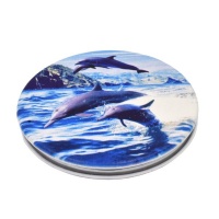 Lily & Rose dolphins compact pocket mirror Photo