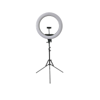 18" LED Dimmable Ring Light With Stand and Carry Bag Photo