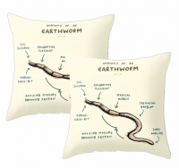 PepperSt Scatter Cushion Cover Set | The anatomy of a Unicron Photo