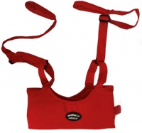 Mothers Choice Double Handle Walking Trainer - Red Photo