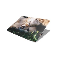 Laptop Skin/Sticker - Cat and Dog Photo