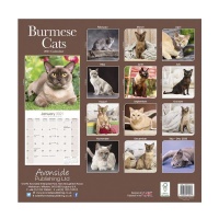 CHEF HOME Cats Burmese 2021 Wall Calendar - Cats Photo