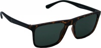 Ocean Eyewear Polarized Torty Sunglasses Photo