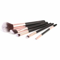 Ruby Face Complexion 5 Piece Brush Kit Photo