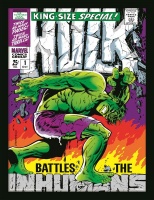 Marvel Incredible Hulk - Inhumans Photo