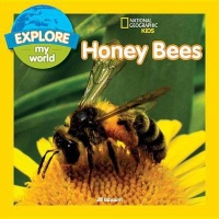 Explore My World: Honey Bees Photo