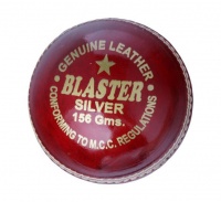 Blaster Silver Cricket Ball - 156g Photo