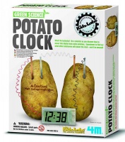 Green Science - Potato Clock Photo