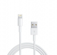 Tangled - Lightning to USB in White Photo