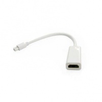 Mini DisplayPort to HDMI Adapter Photo