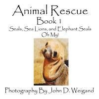 Animal Rescue Book 1 Seals Sea Lions and Elephant Seals Oh My! Photo