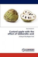 Apple Custard with the Effect of Gibberellic Acid Photo