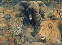 RGS Group Spirit Of Africa 1500 Piece Jigsaw Puzzle Photo