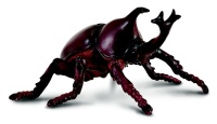 Collecta Insects-Rhinoceros Beetle-M Photo
