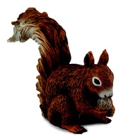 Collecta Woodlands-Red Squirrel - Eating-S Photo