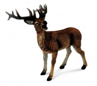 Collecta Woodlands-Red Deer Stag-L Photo