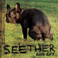 Seether: 2002-2013 Photo