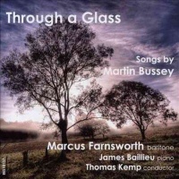 Bussey:Through a Glass - Photo